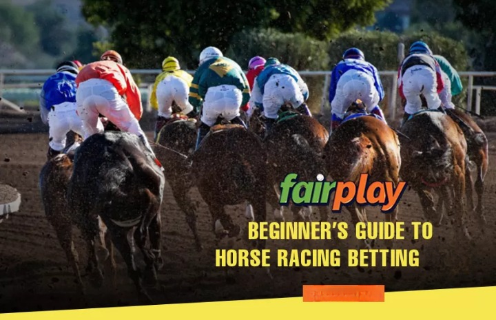 How to Bet on Horse Racing Online with Fairplay24: A Beginner’s Guide
